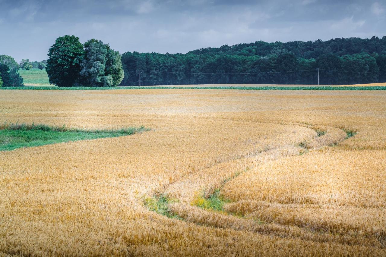 - Barrierefrei - Im Sanierten Gutshof * Lalendorf