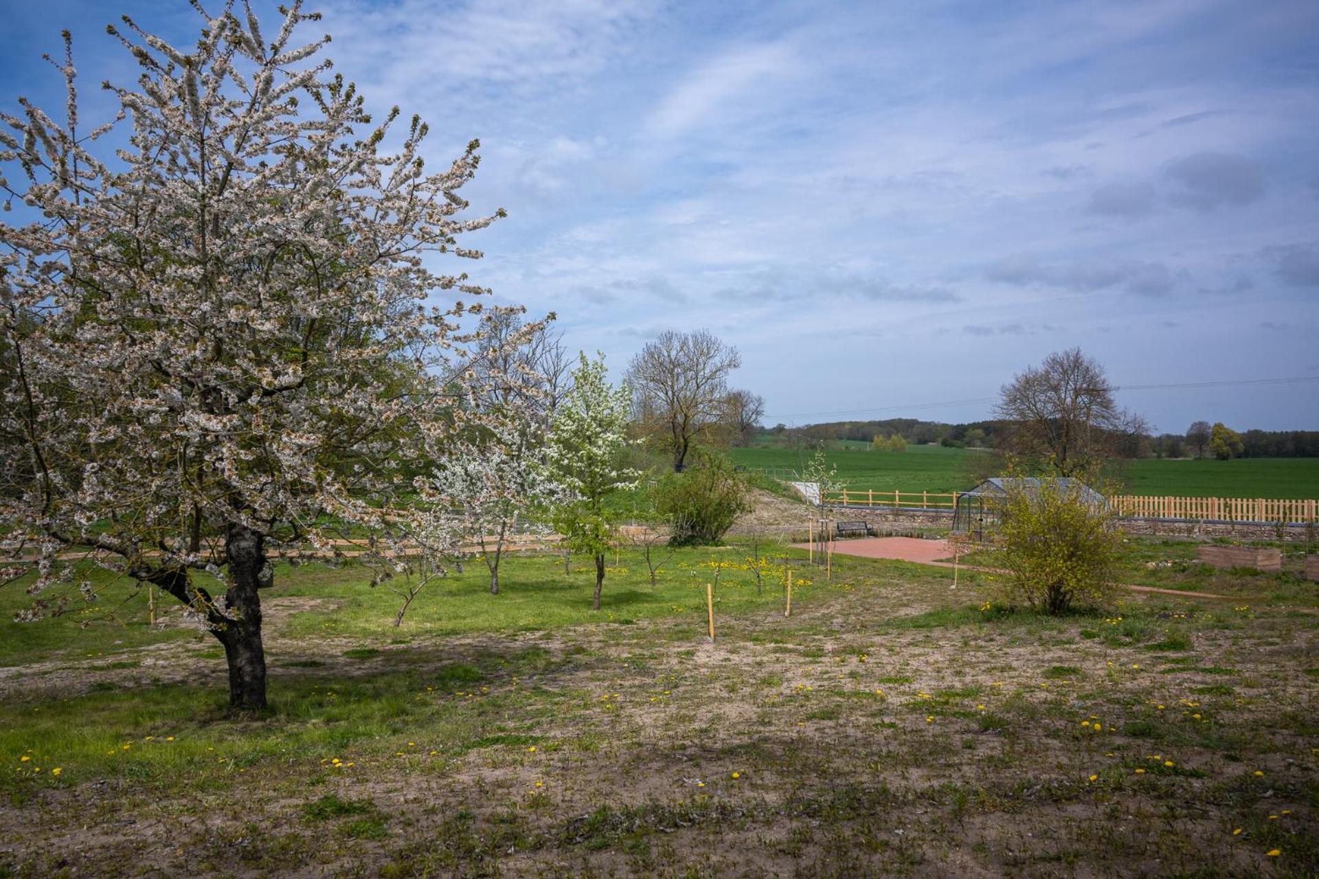 - Barrierefrei - Im Sanierten Gutshof Apartment