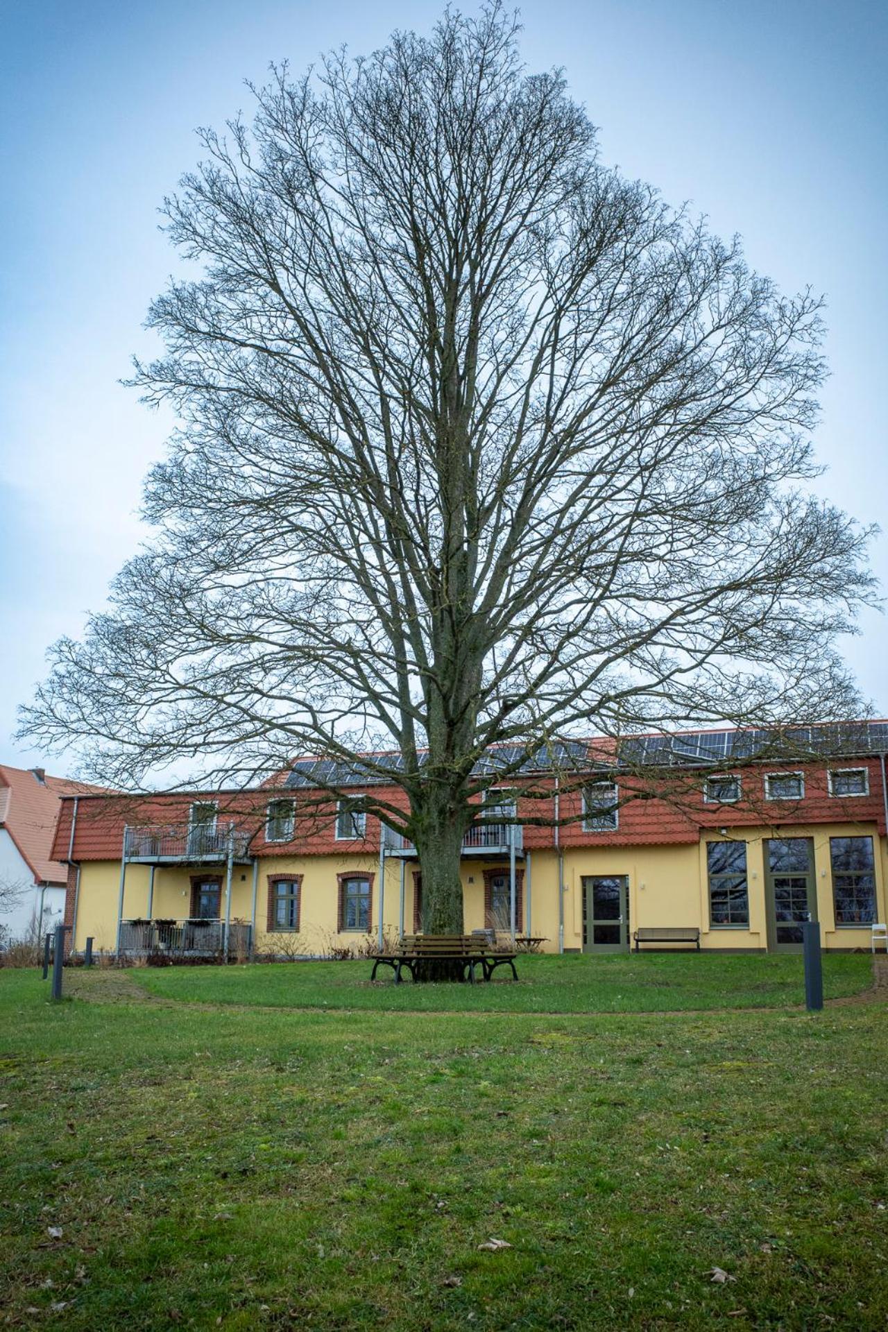 - Barrierefrei - Im Sanierten Gutshof *